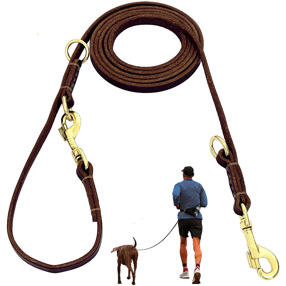 Multi Function Leather Dog Lea - Leather Strap Quick Release のレビューと価格